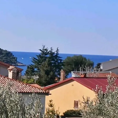 Apartment Emily, 6 2 Guests, Newly Refurbished Pula
